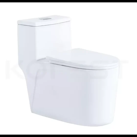 Bàn cầu 1 khối BKR9912