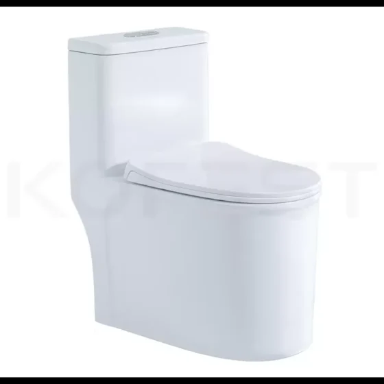 Bàn cầu 1 khối BKR9911