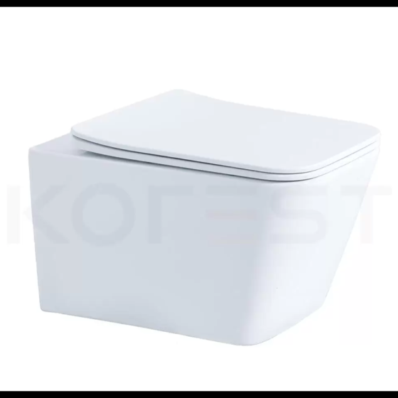 Bàn cầu treo tường BKR9310W