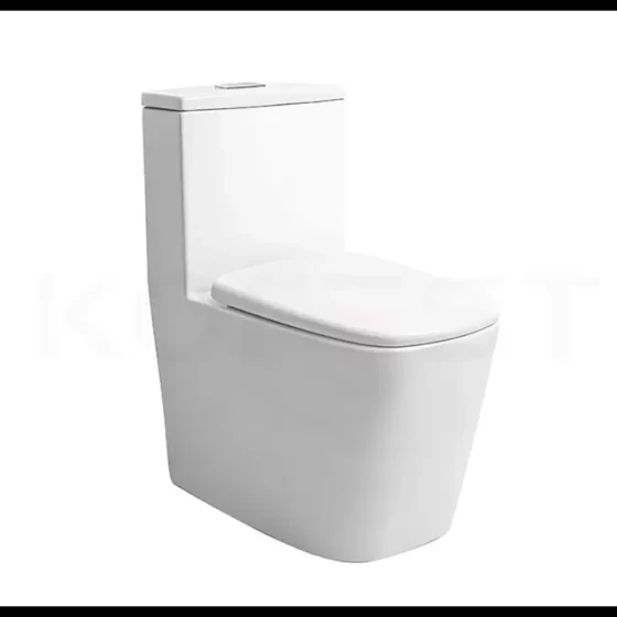 Bàn cầu 1 khối BKR9917UF