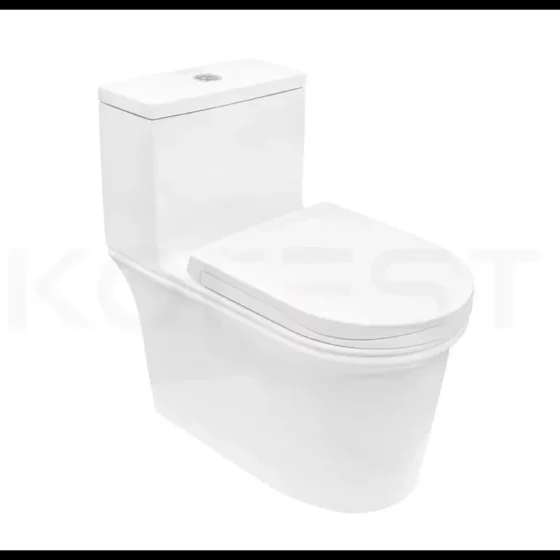 Bàn cầu 1 khối cao cấp BKR1103UF