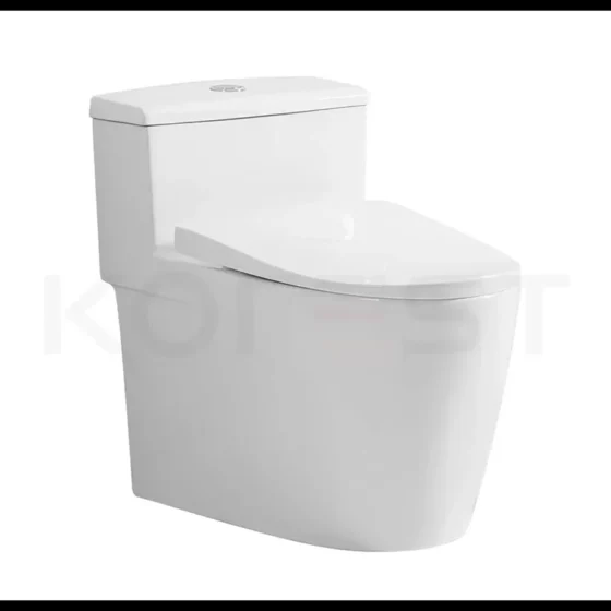 Bàn cầu 1 khối cao cấp BKR1104
