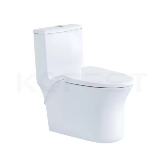Bàn cầu 1 khối BKR654-S