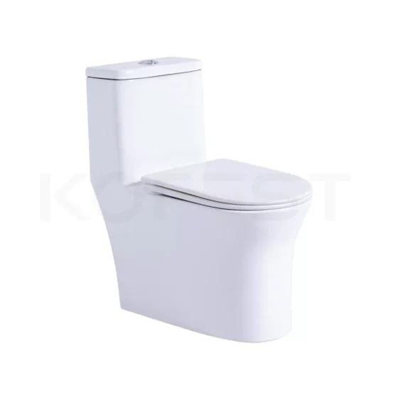 Bàn cầu 1 khối BKR9910