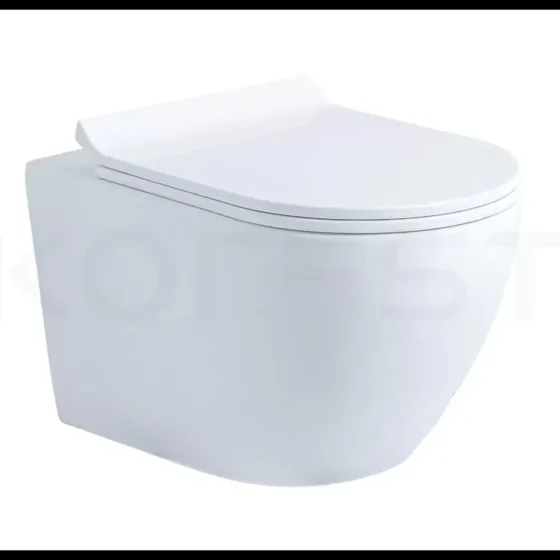 Bàn cầu treo tường BKR9316W