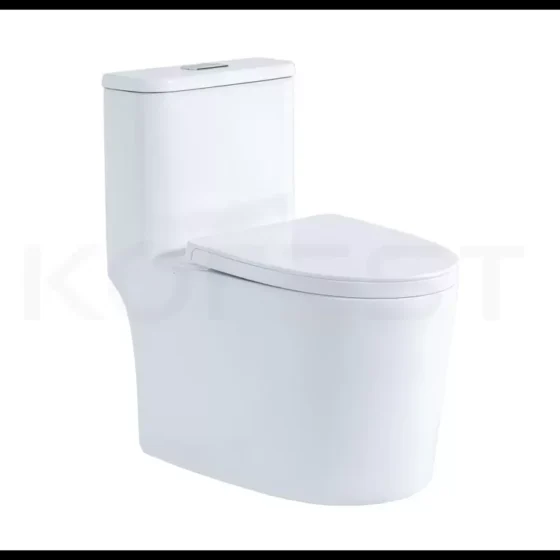 Bàn cầu 1 khối BKR9918