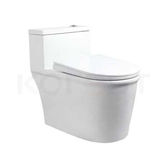 Bàn cầu 1 khối BKR1101