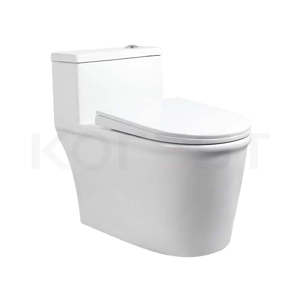 Bàn cầu 1 khối BKR1101